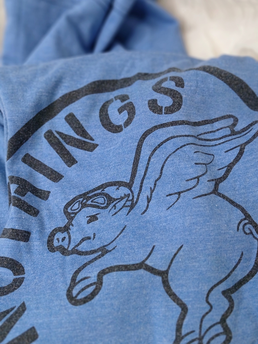 Blue Flying Pig Graphic Tee
